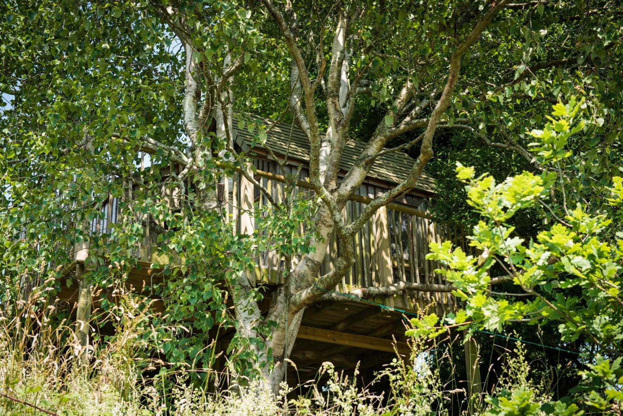 The Treehouse At Salcombe Farm Villa Ngoại thất bức ảnh